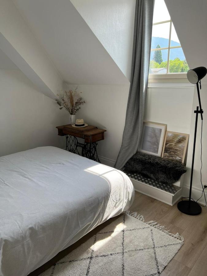Les Chambres De Pauline Appartements Avec Climatisation Et Spa Альбервіль Екстер'єр фото