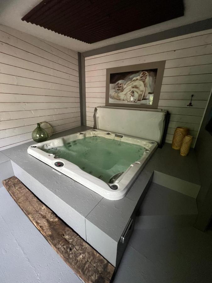 Les Chambres De Pauline Appartements Avec Climatisation Et Spa Альбервіль Екстер'єр фото